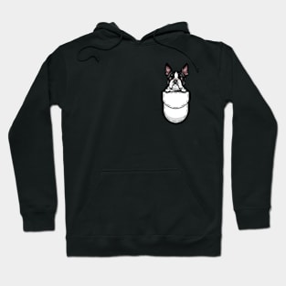 Funny Boston Terrier Pocket Dog Hoodie